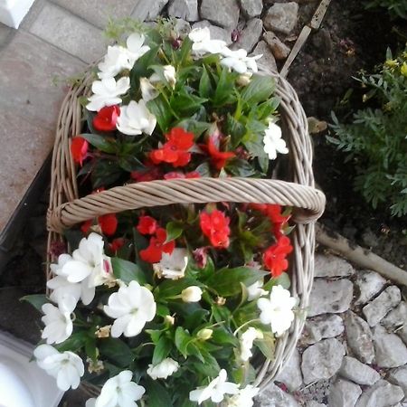 Guesthouse Tomas Čatrnja Kültér fotó