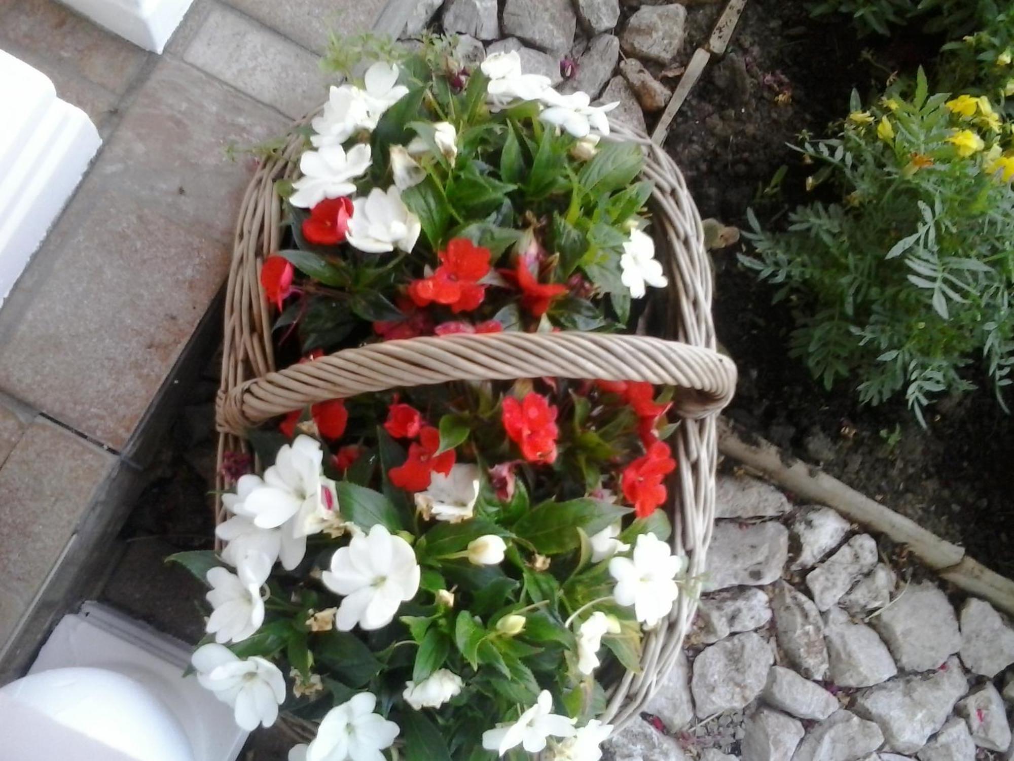 Guesthouse Tomas Čatrnja Kültér fotó