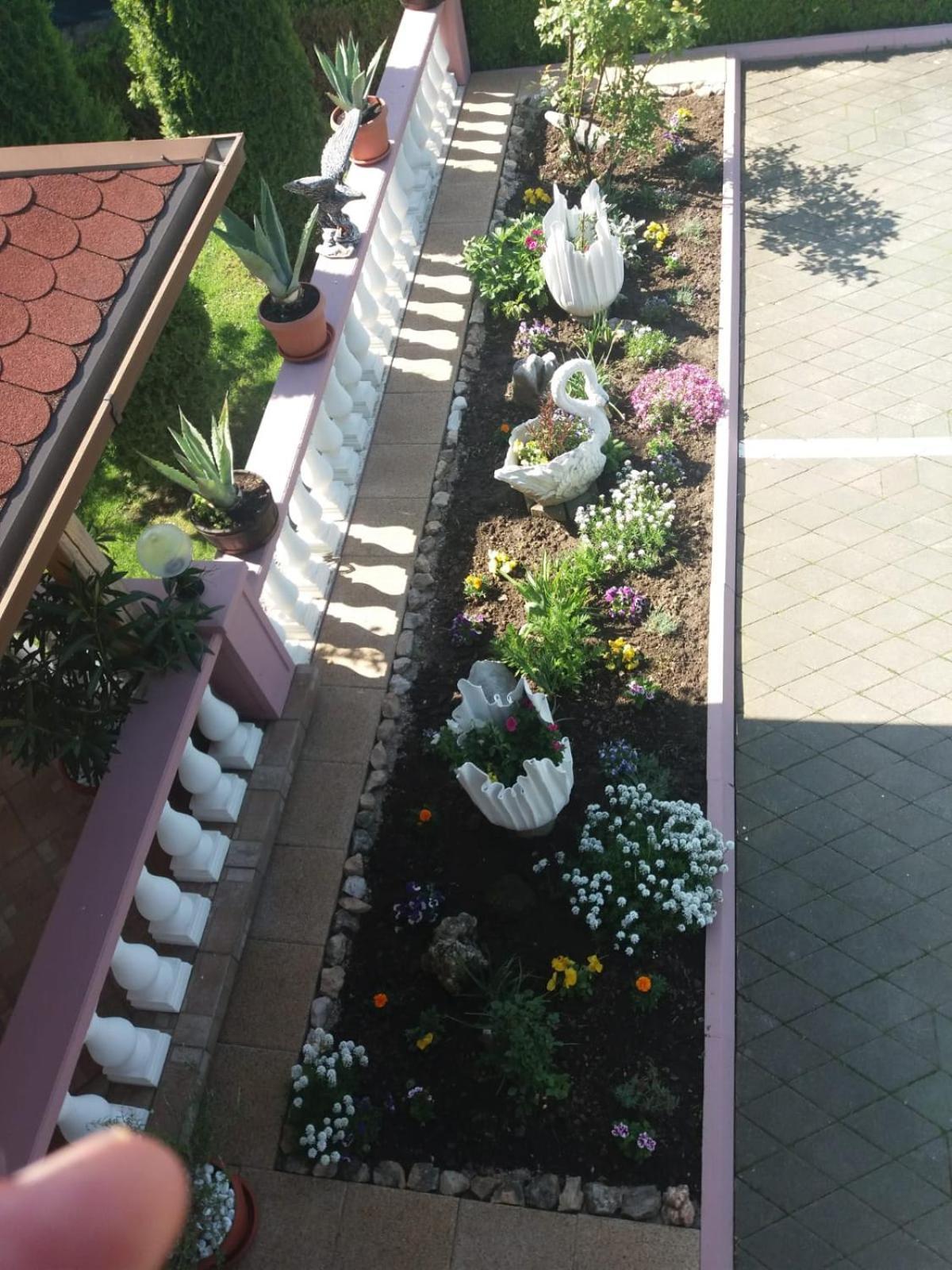 Guesthouse Tomas Čatrnja Kültér fotó